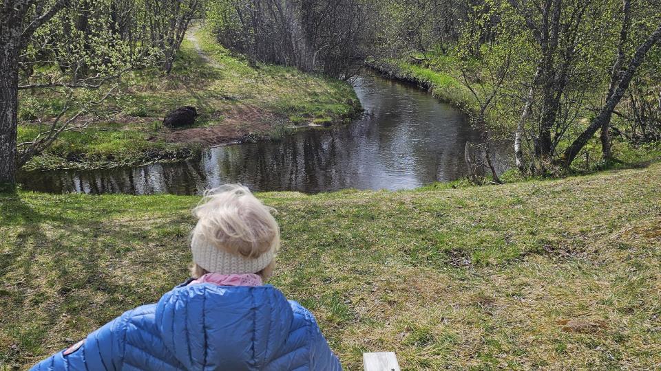 Lenke til artikkel: Sortland