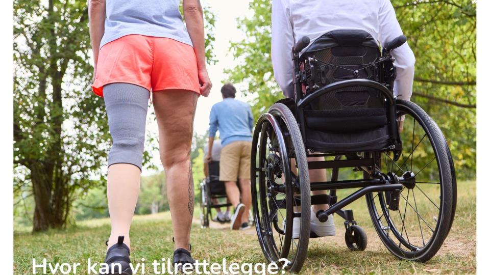 Lenke til artikkel: Tilrettelagt tur