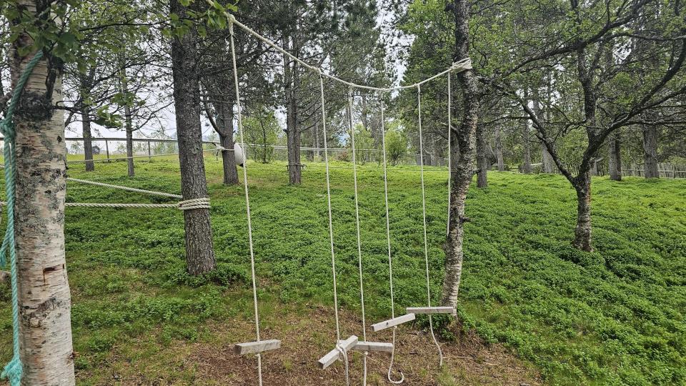 Lenke til artikkel: Lekeparker i naturen