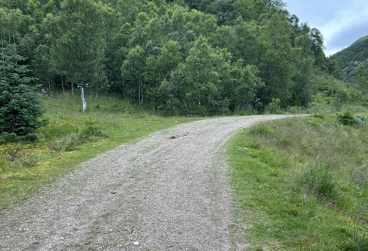 Kjerrevei opp mot Risvatnet - Klikk for stort bilde